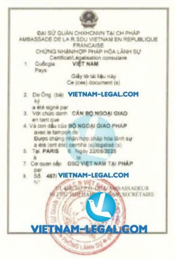 BCTC P Háp dùng tại VN