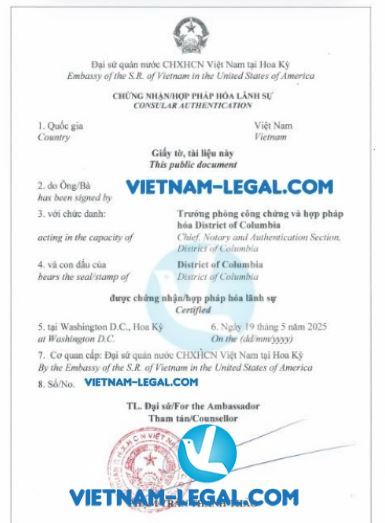 Báo cáo tài chính Mỹ dùng tại VN