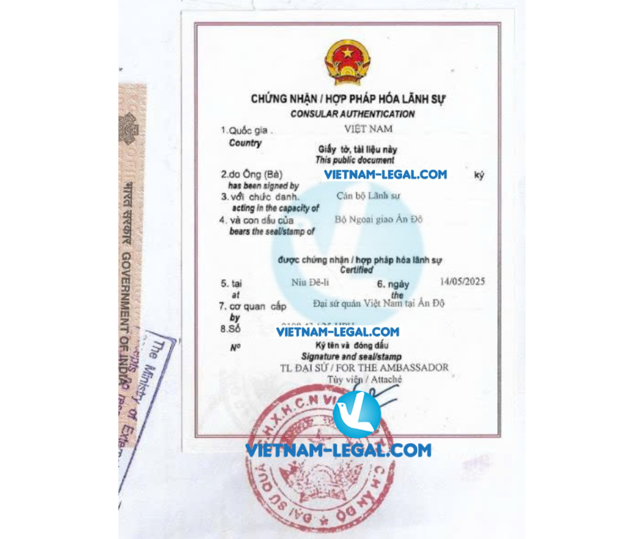 Hợp đồng phân phối Ấn Độ VN