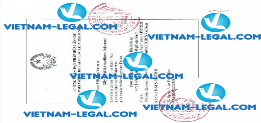 Kết quả Giấy chứng nhận Đăng ký nộp thuế cấp tại Đức sử dụng tại Việt Nam ngày 14 09 2021