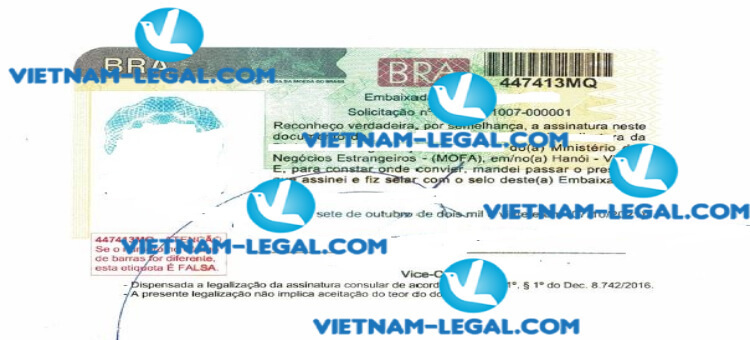 Kết quả Hợp pháp hóa lãnh sự Giấy chứng nhận kiểm dịch sản phẩm cấp tại Việt Nam Bra xin ngày 07 10 20221