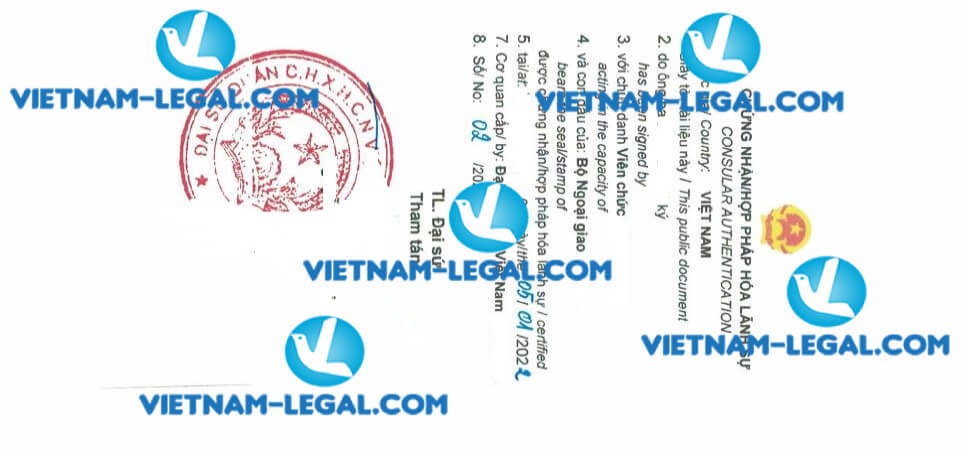 Kết quả hợp pháp hóa GMP cấp tại Hà Lan sử dụng tại Việt Nam ngày 05 01 2022