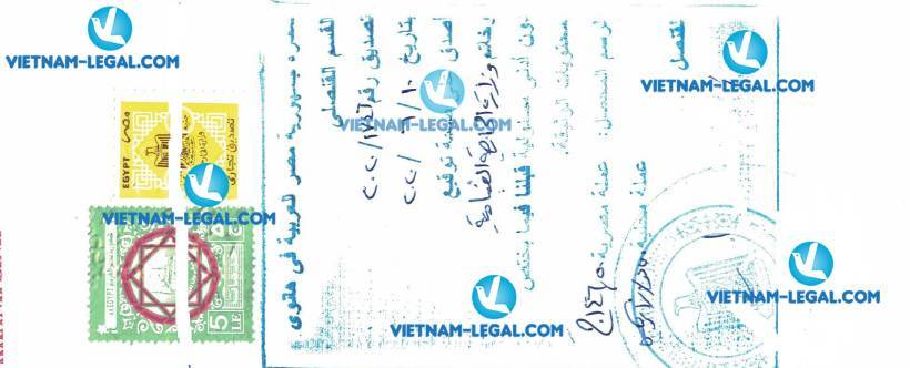 Kết quả hợp pháp hóa lãnh sự Hóa đơn Thương mại Việt Nam sử dụng tại Ai cập ngày 11 06 2020