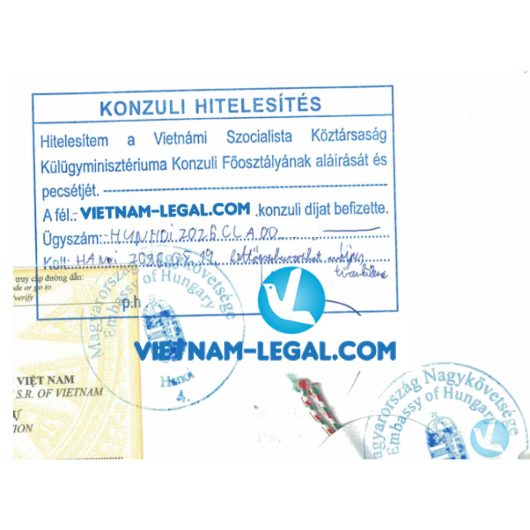 LLTP Vn Hungary 19 05 26
