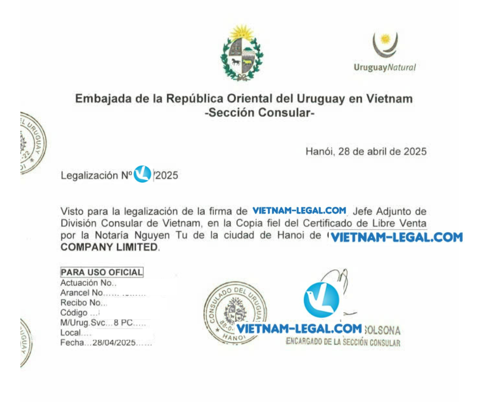CFS VN Uruguay