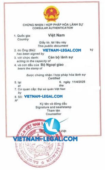 TUQ BVI VN