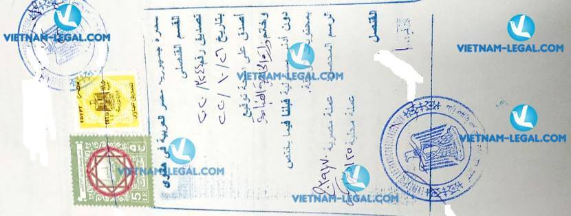 Result of Commercial Invoice in Vietnam for use in Egypt on 26 10 2020