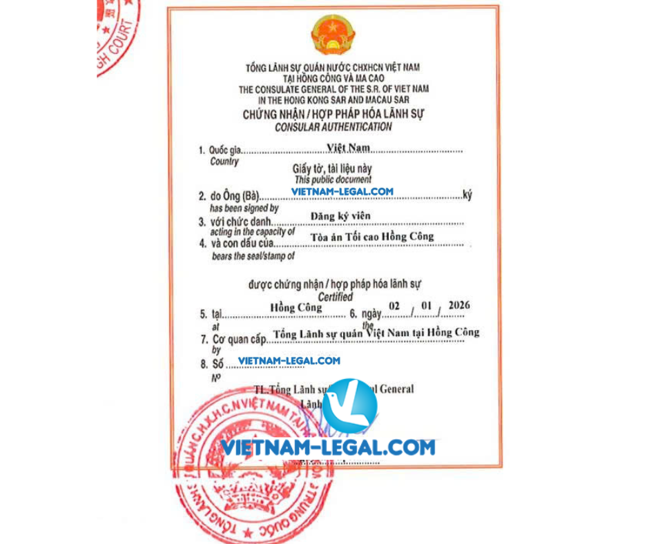 XNKN của Hongkong VN 02 1 26