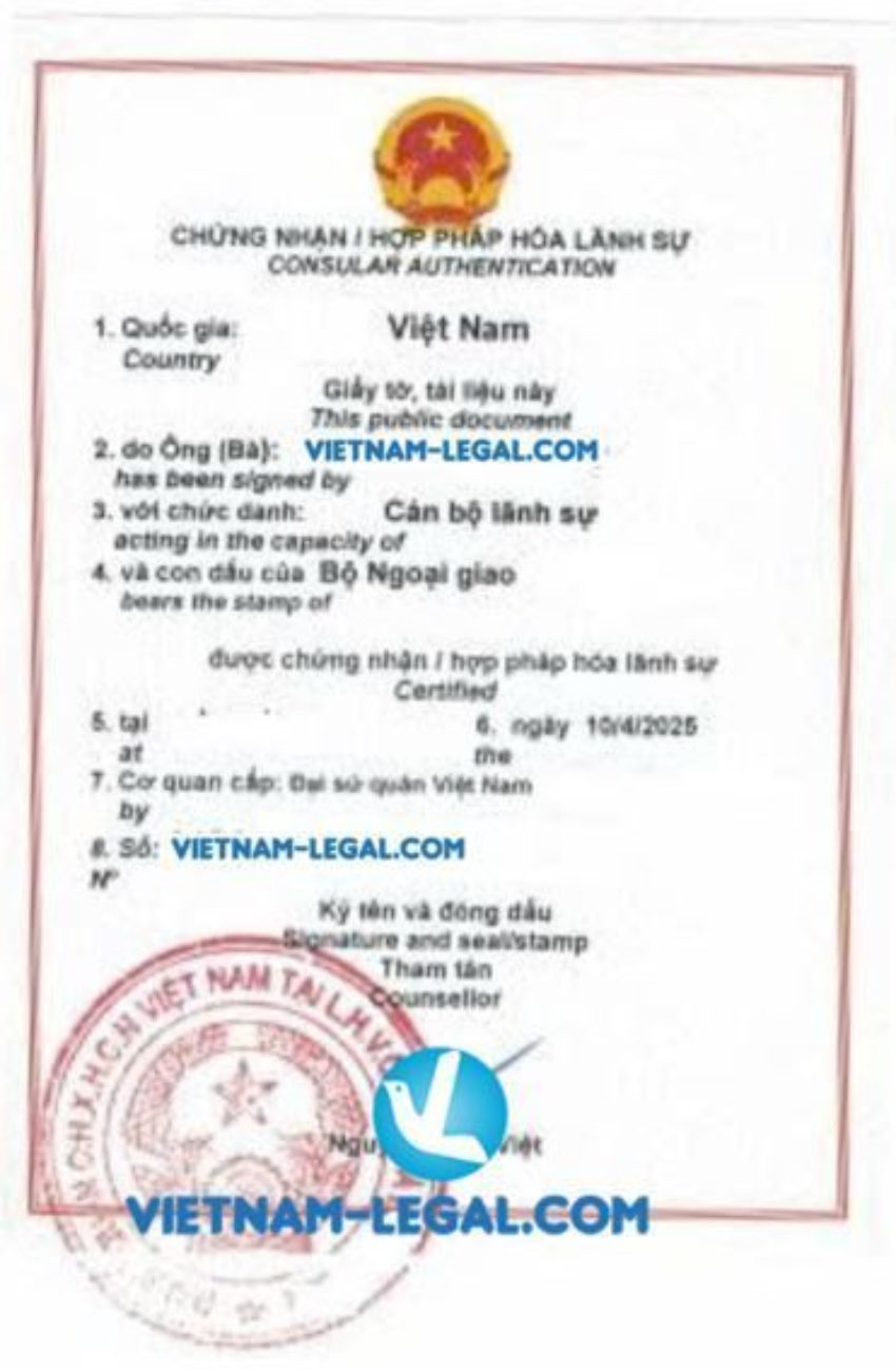 GPKD BVI VN