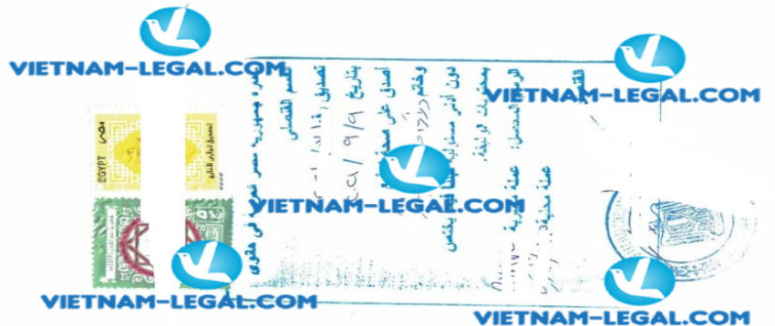 Kết quả CO cấp tại Ai Cập sử dụng tại Việt Nam ngày 10 9 2021