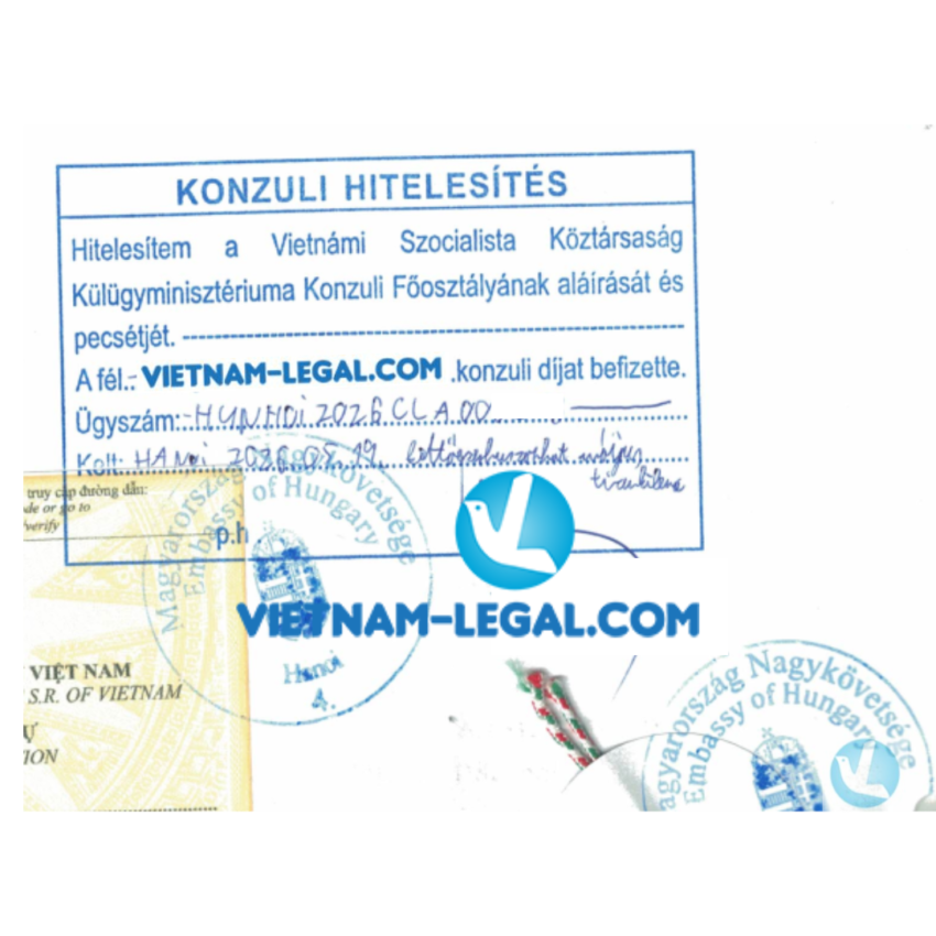 LLTP Vn Hungary 19 05 26