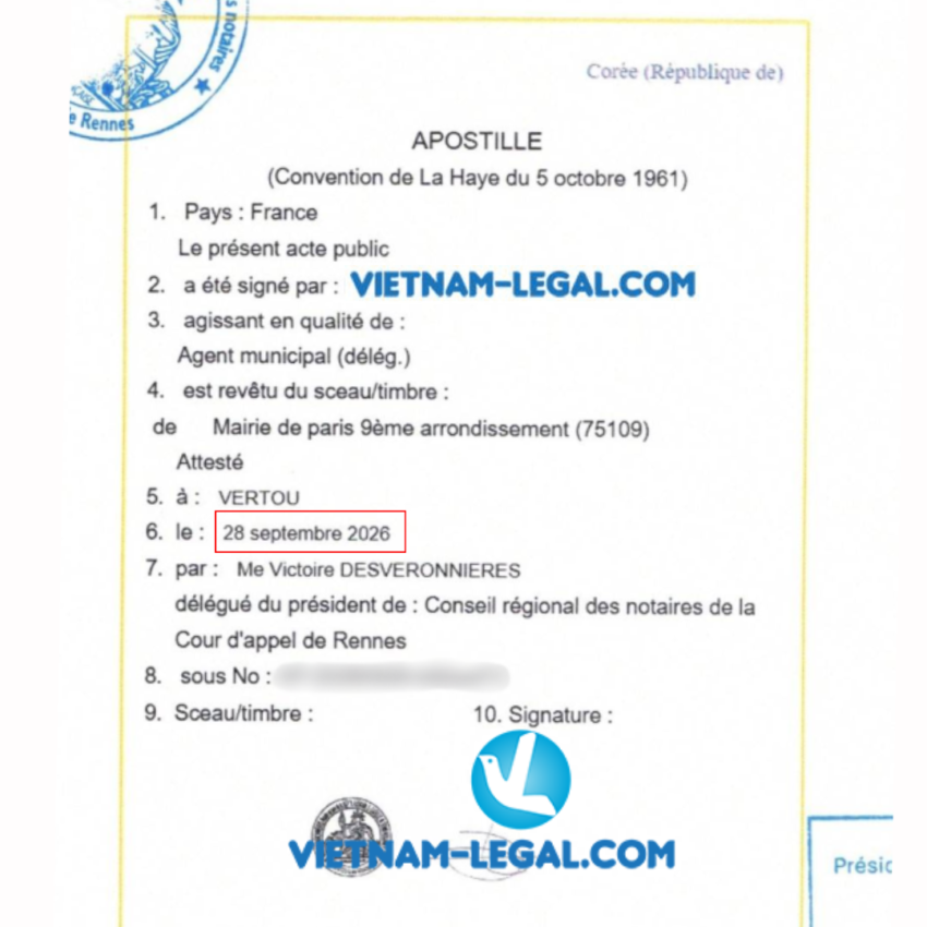 Facts Travel Template Series Logo Guide 2