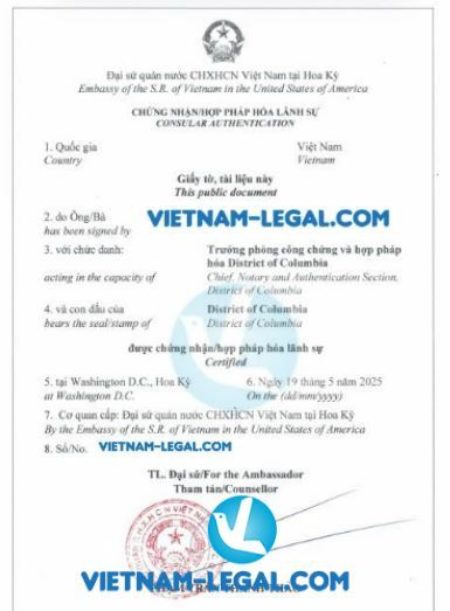 Báo cáo tài chính Mỹ dùng tại VN