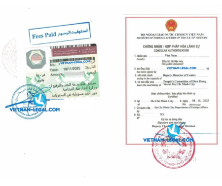 Bằng và bảng điểm VN Qatar1