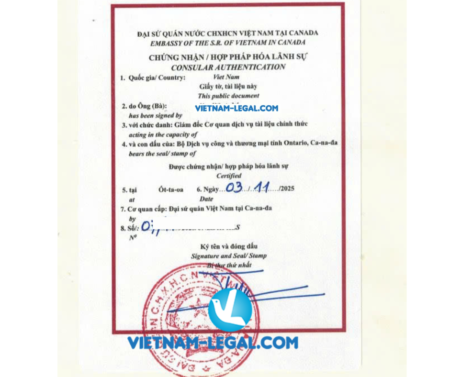GMP canada dùng tại VN 03 11