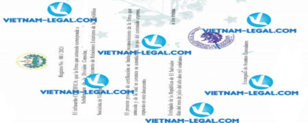 Kết quả Giấy chứng nhận Dược phẩm cấp tại Việt Nam sử dụng tại El Salvador ngày 30 07 2021