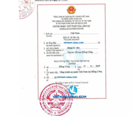 XNKN TQ dùng tại VN 27 11