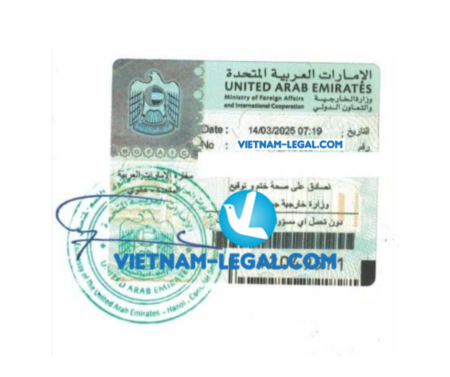 Bằng Vn UAE 1
