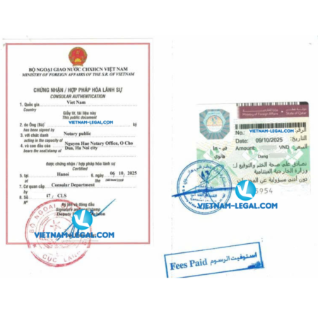 Giấy tờ VN dùng tại Qatar gồm giấy khai sinh đăng ký kết hôn bằng và bảng điểm