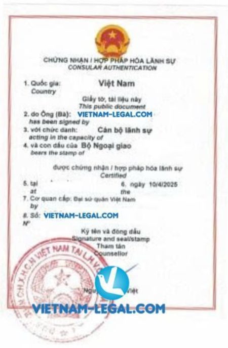 GPKD BVI VN