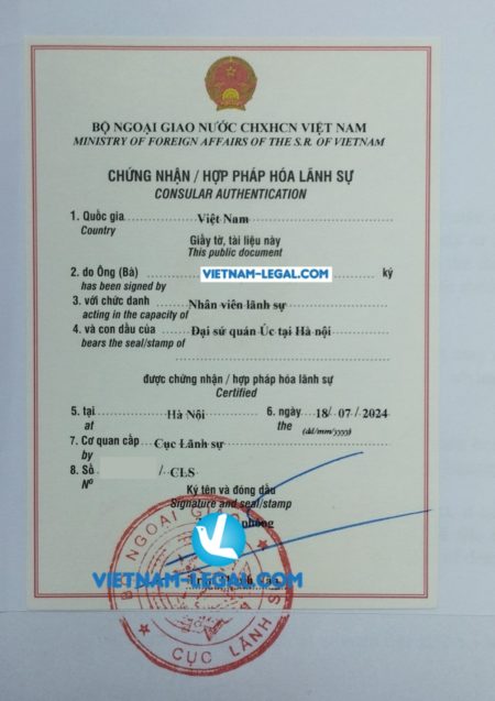 Úc Li hôn về Vn