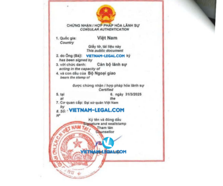 ĐKKD Samoa về Viet