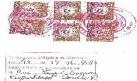 Chứng nhận lãnh sự sứ quán An giê ri
