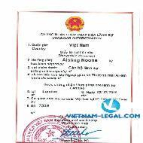 Giấy tờ tài liệu Ai len Ireland sử dụng tại Việt Nam