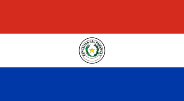 Flag of Paraguay svg