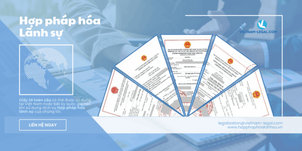 HPHLS VIE 2